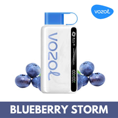 VOZOL STAR 12000 – Blueberry Storm 5%